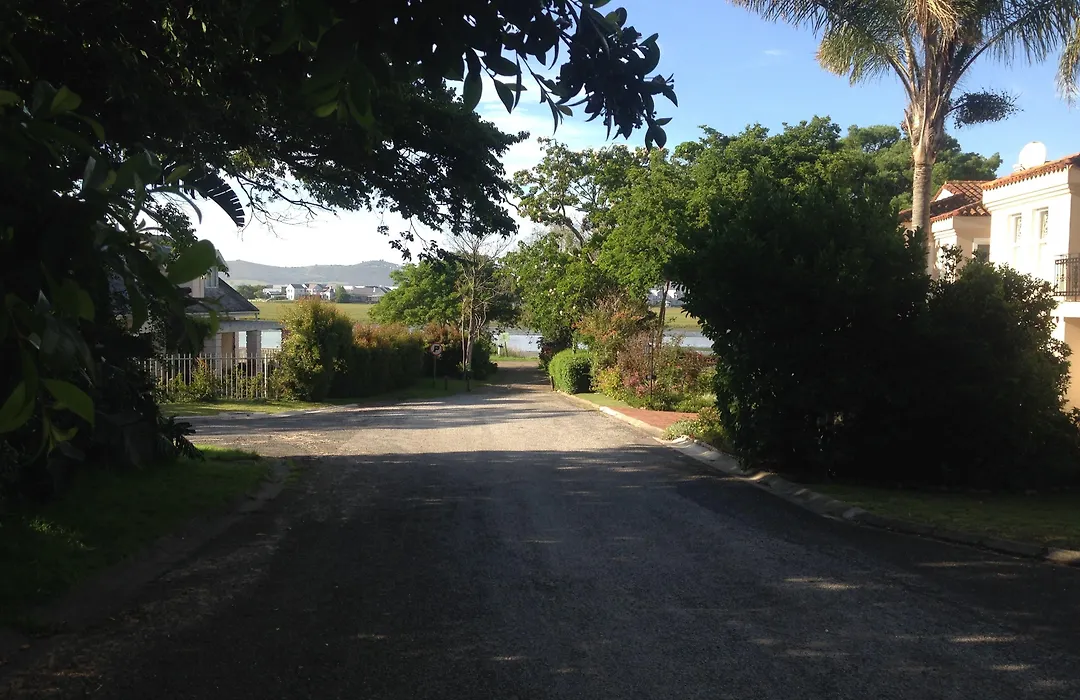 Blue Fern Of Knysna-1